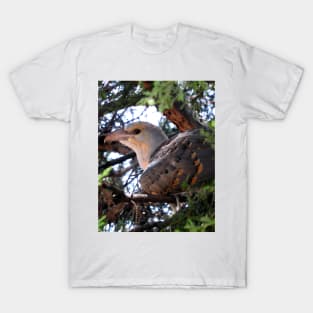 Channel-billed Cuckoo T-Shirt